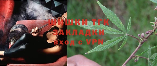 молекула духа Ветлуга