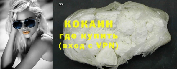 спиды Новодвинск