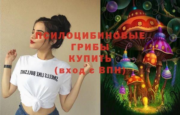 спиды Новодвинск