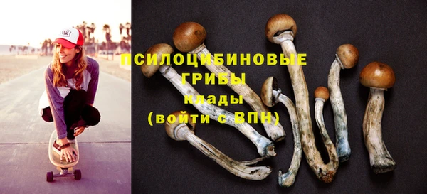 дурь Новозыбков
