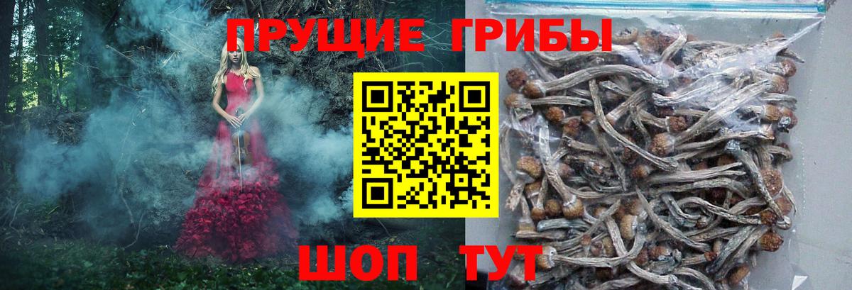 цены   Вход с VPN  Ливны  Псилоцибиновые грибы прущие грибы 