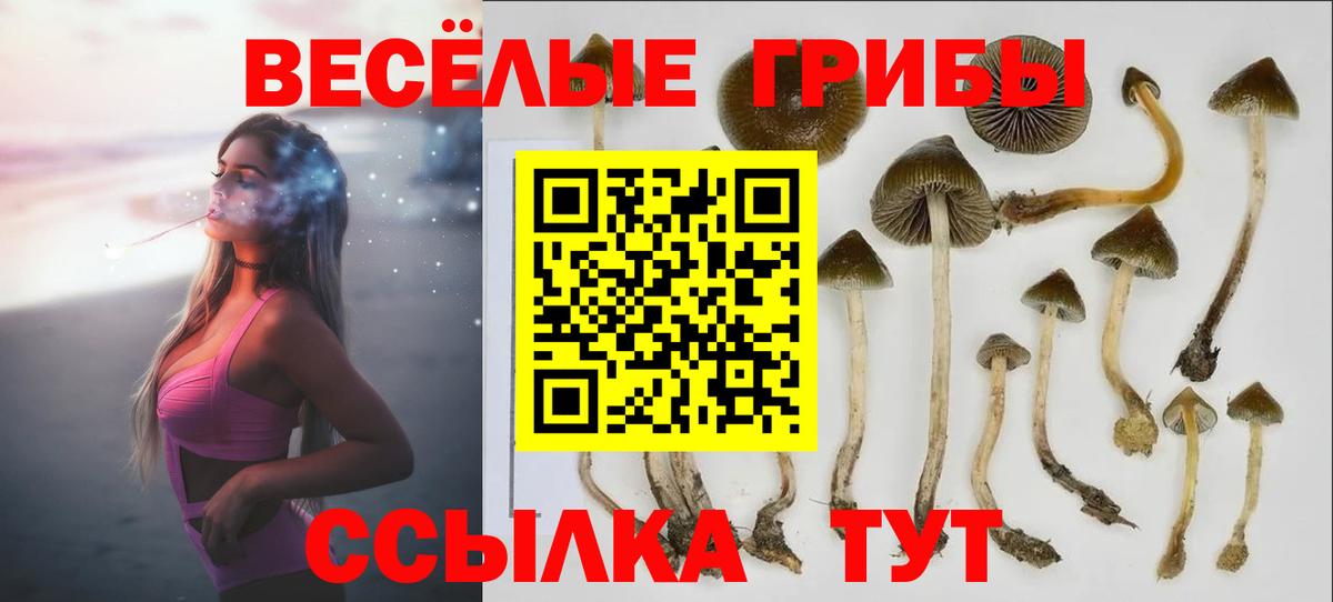Галлюциногенные грибы Magic Shrooms Ливны